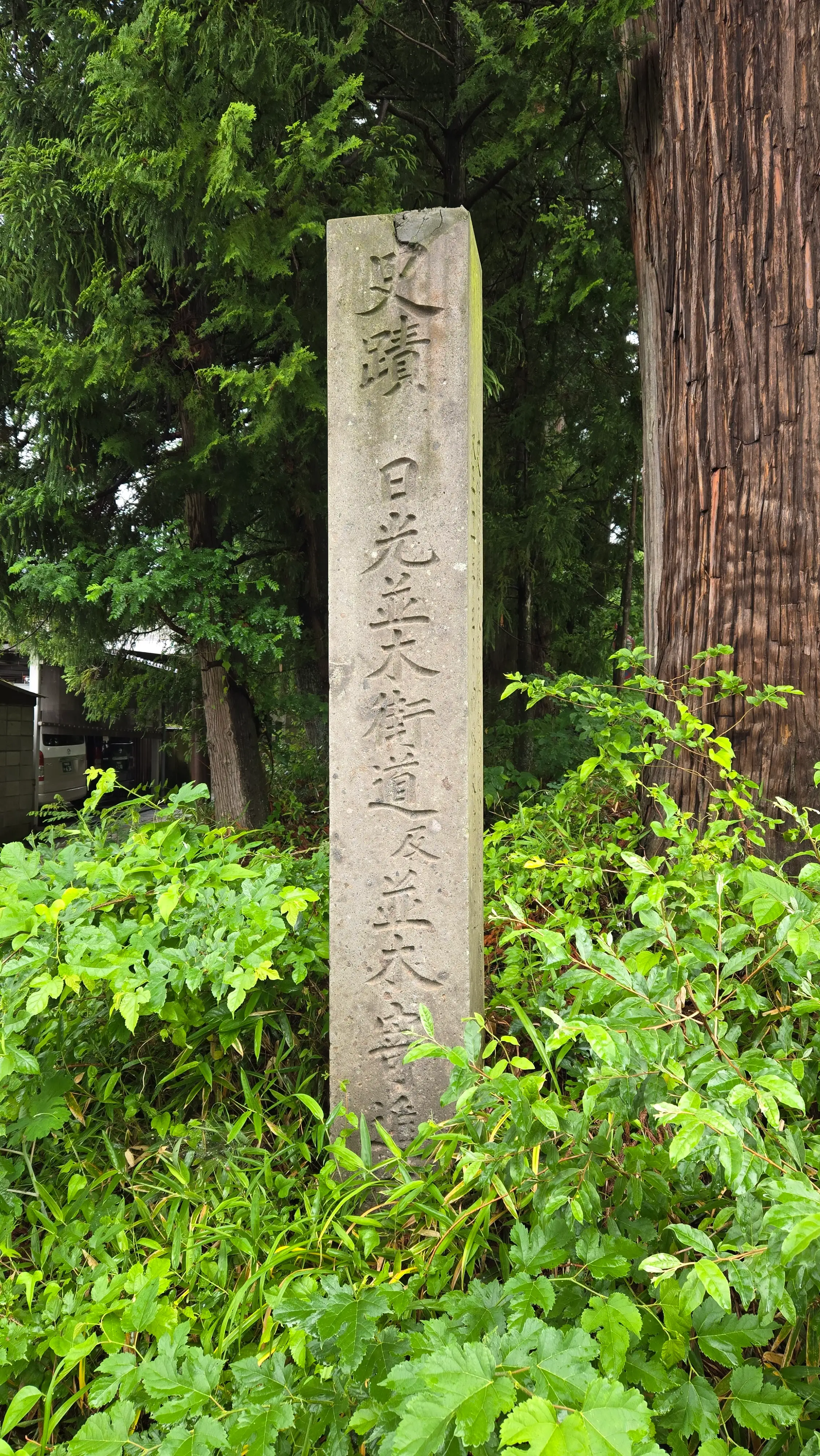 杉並木旁的木造水車、刻著「史蹟 日光並木街道及並木寄進碑」的石柱，以及杉樹下的並木寄進碑。