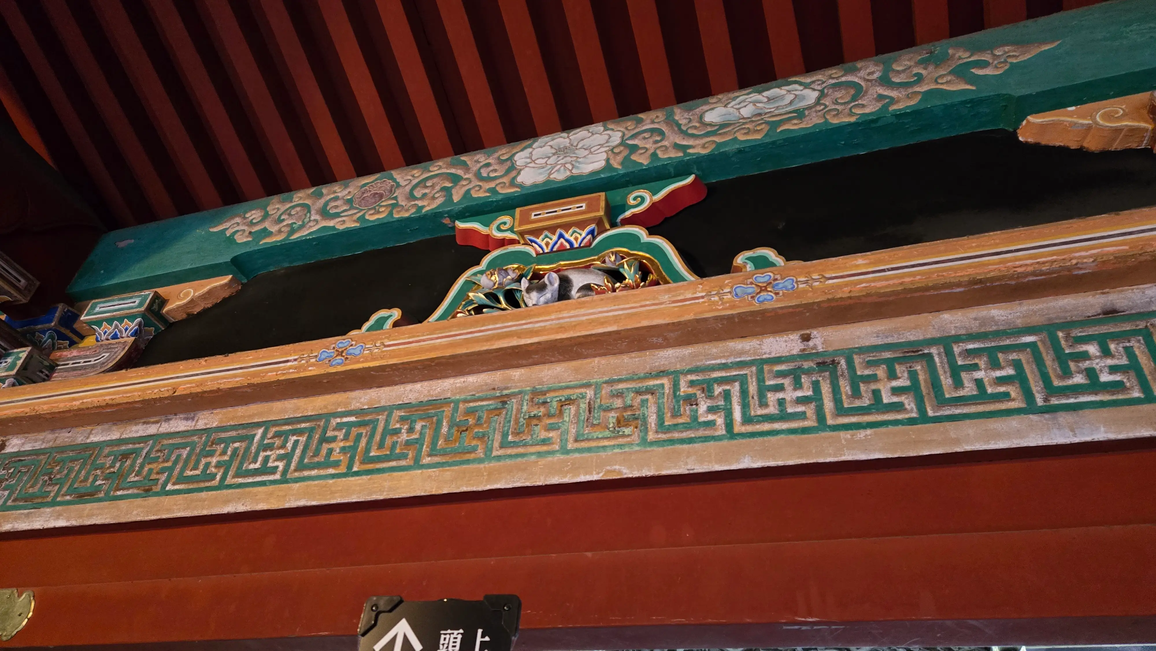 國寶眠貓。